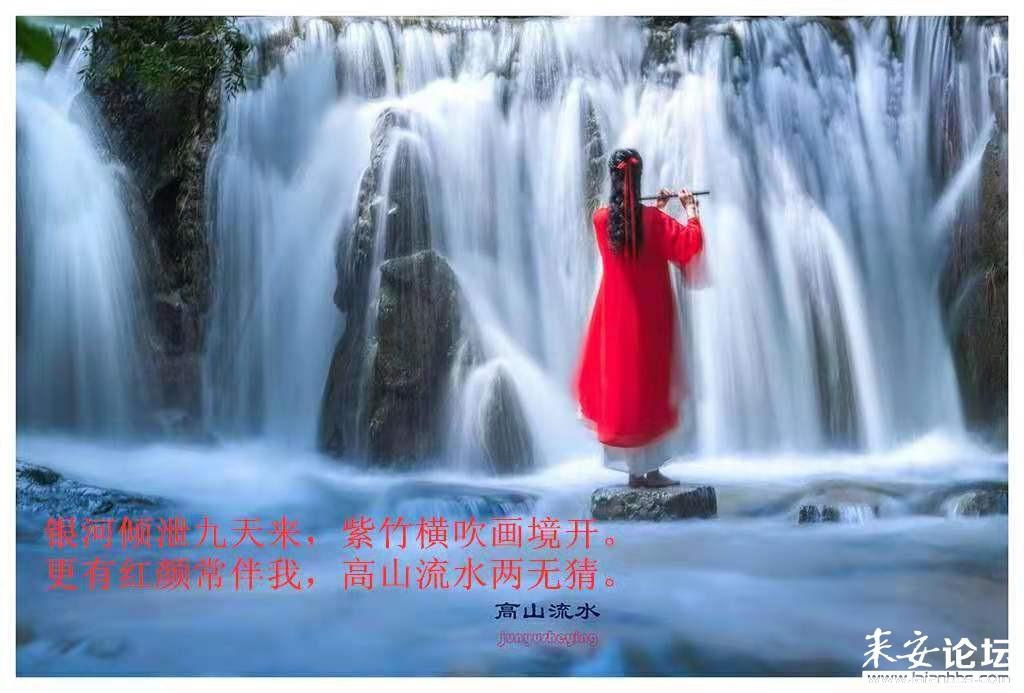 月光影视
